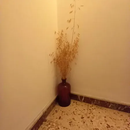 Appartement E Pieri O Carmunu Affitti Brevi *